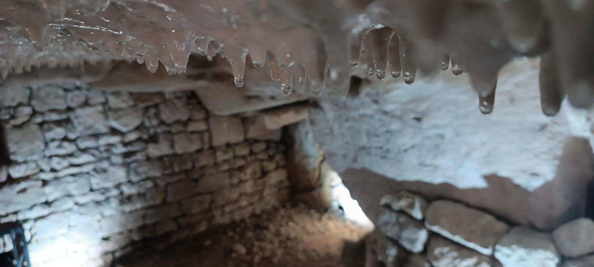 Meuble De Tourisme Petit Chail Saint Savinien エクステリア 写真
