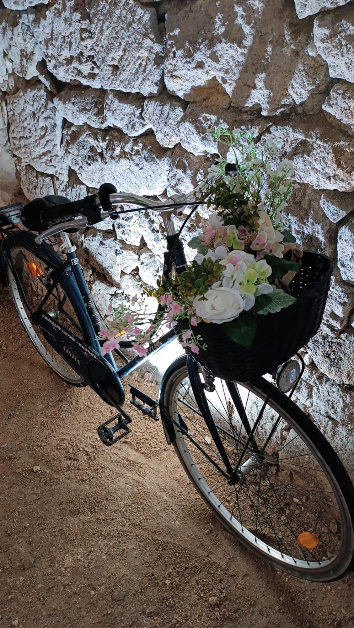 Meuble De Tourisme Petit Chail Saint Savinien エクステリア 写真